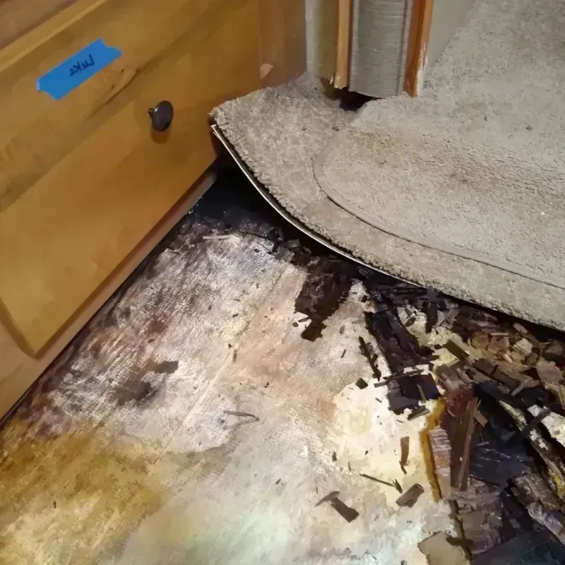 Wood Floor Water Damage in Chico, WA